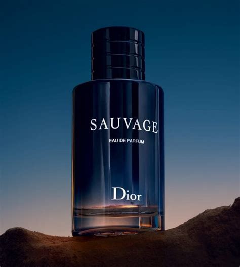 chanel bleu or sauvage|what does sauvage smell like.